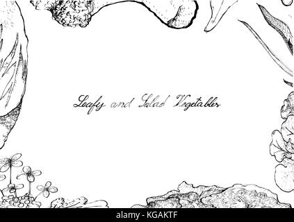 Vegetable Salad, Illustration Frame of Hand Drawn Sketch Delicious Fresh Green Leafy and Salad Vegetable Isolated on White Background. Stock Vector