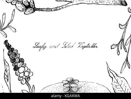 Vegetable Salad, Illustration Frame of Hand Drawn Sketch Delicious Fresh Green Leafy and Salad Vegetable Isolated on White Background. Stock Vector