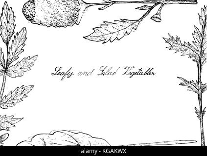 Vegetable Salad, Illustration Frame of Hand Drawn Sketch Delicious Fresh Green Leafy and Salad Vegetable Isolated on White Background. Stock Vector