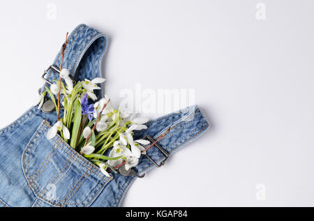 Snowdrop flowers bouquet in a jeans kids dress pocket. Creative layout for spring festive theme. Stock Photo
