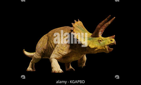 Triceratops horridus dinosaur from the Jurassic era (3d rendering isolated on black background) Stock Photo