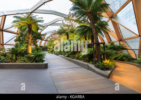 Crossrail Place Roof Garden, planted rooftop recreation space, Canary Wharf, London Stock Photo