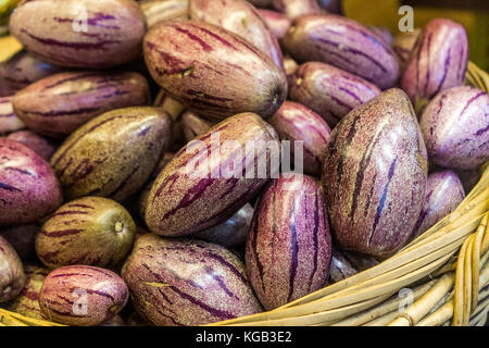 Pepino Melon found in the Cameron Highlands, Malaysia Stock Photo