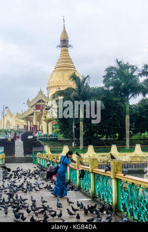 Birds on Bridge in front of Shwedagon Pagoda Stock Photo