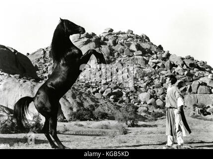 THE BLACK STALLION RETURNS, Kelly Reno, 1983, (c)MGM/courtesy Everett ...