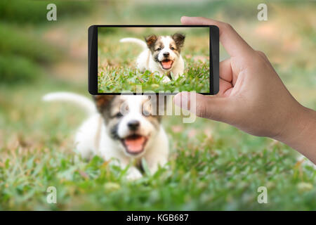 hand holding 3d rendering mobile phone taking photo Stock Photo