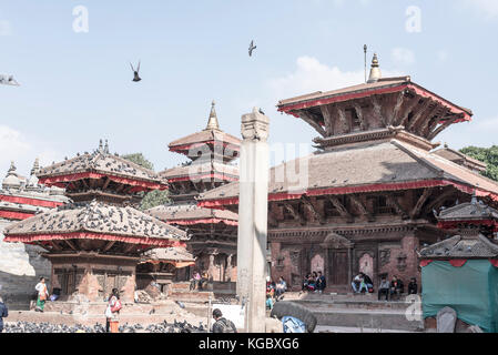 Temples covered with pigeon in Kathmandu durbar square, Basantapur, Kathmandu Nepal Stock Photo