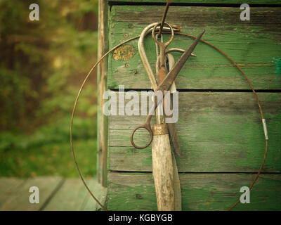 Rusty old scissors and other retro vintage hand tools hanging on the wooden wall. Filtered photo Stock Photo