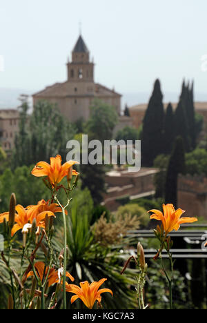 Alhambra garden in Granada, Spain Stock Photo