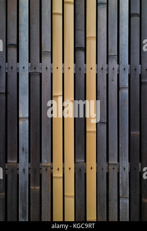 Old and fresh bamboo sticks used for a barrier Stock Photo