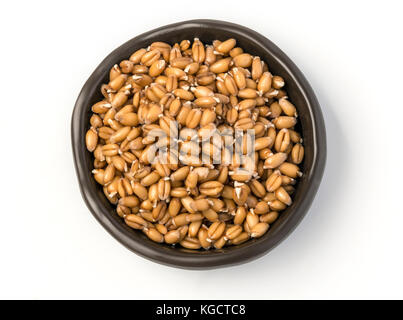 sprouted wheat germ in a bowl  isolated on white background Stock Photo