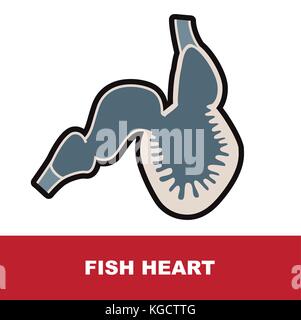 vector illustration of fish heart isolated on white with description on red background Stock Vector