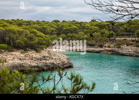 Cala in Mondrago natural Park, Santanyi on Majorca island (Balearic Islands, Spain) Stock Photo