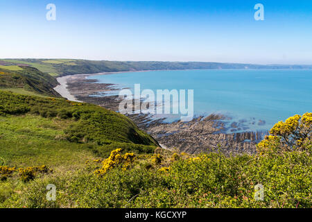 View Looking Down on Babbacombe Beach and North Devon Coastline at Low Tide. South West Coast Path, Near Bucks Mills, England, Stock Photo