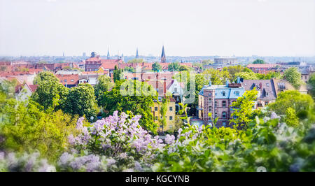 sunny city summer landscape, lots of greenery, beautiful house and trees in the foreground blooming lilacs Stock Photo