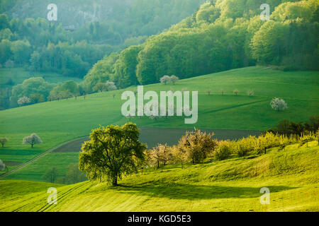 Spring morning in Swiss Jura Mountains. Stock Photo