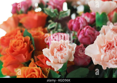 The roses and carnations backgrounds Stock Photo