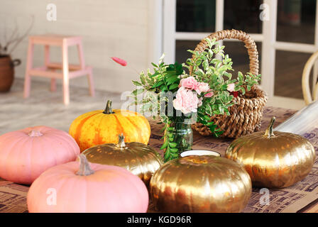 Colored pumpkins in the creative studio Stock Photo