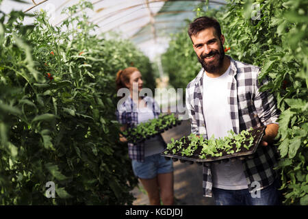 Image of couple of farmers seedling sprouts in garden Stock Photo