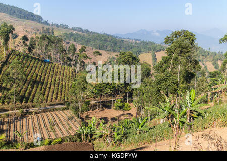 Volcanic landscape on the slope of the Galunggung volcano in Garut neat Bandung, Java islan in Indonesia Stock Photo