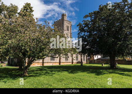 St Mary's Church in Axminster, Devon Stock Photo