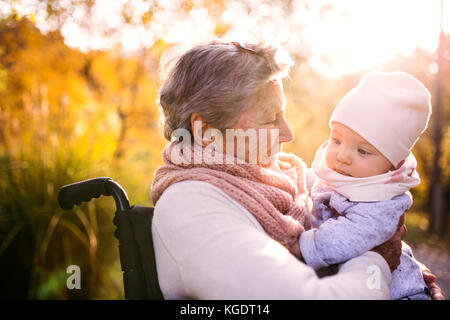 An elderly woman in wheelchair with baby in autumn nature. Stock Photo