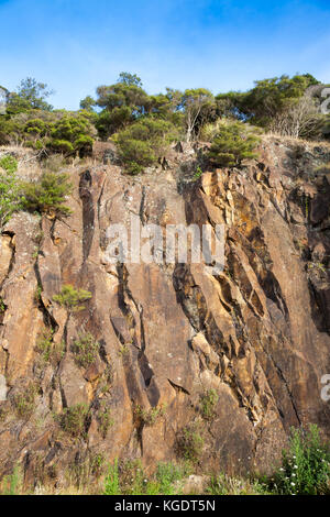 Rocky cliff face with bush on top at New Zealand coast Stock Photo