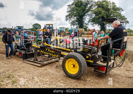 Mini Tractor Pulling competition at the Norfolk Starting Handle Club show, Marsham, UK. Stock Photo