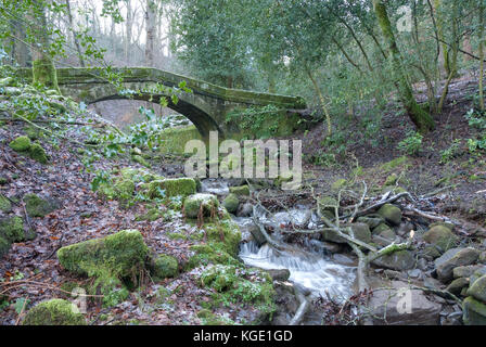 Sheffield, UK - Jan 2015: Tinker Brook passes beneath a Packhorse Bridge, a footbridge in Glen Howe park on 18 Jan 2015 near Wharncliffe Side Stock Photo