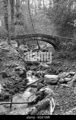 Sheffield, UK - Jan 2015: Tinker Brook passes beneath a Packhorse Bridge, a footbridge in Glen Howe park on 18 Jan 2015 near Wharncliffe Side Stock Photo