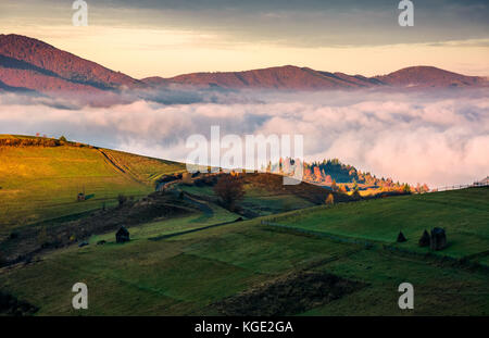 grassy hillside above the thick fog in mountains. gorgeous sunrise in rural landscape Stock Photo