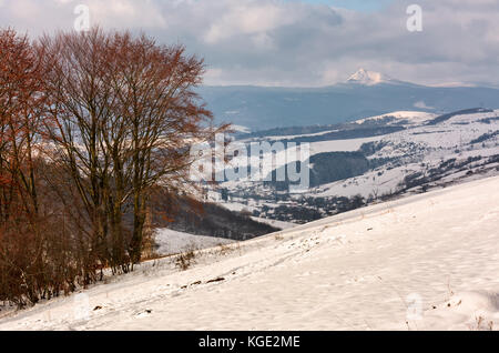 mountainous rural area in late winter. trees with reddish foliage on snowy hills. mountain ridge with high peak in the distance Stock Photo