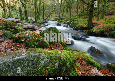 The River Fowey in full flow at Golitha Falls in East Cornwall Stock Photo