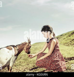 Calm and cheerful girl feeding a goat Stock Photo