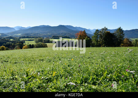 view from alpine foothills near Siegsdorf, Bavaria, towards Berchtesgaden alps. Germany Stock Photo