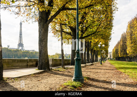 The Eiffel Tower seen between the chestnut trees planted alongside the banks of the river Seine with an old style street light in the foreground. Stock Photo