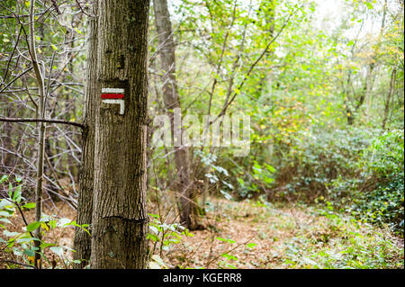 Red and white direction sign painted on a tree trunk on a long distance hiking trail in a french forest. Stock Photo