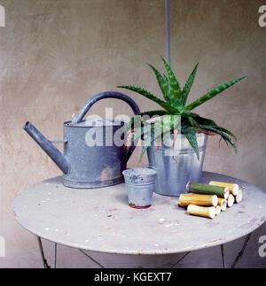 still life of objects and tools coming from a garden: a watering can, a fat plant a small metal bucket and some pieces of bamboo cut on a table Stock Photo