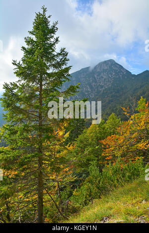 The late September slopes of Mangrt (also Mangart) in north west Slovenia Stock Photo