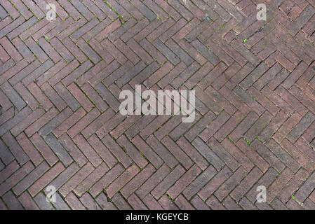 pavers laid from gray concrete bricks in a herringbone pattern. Stock Photo