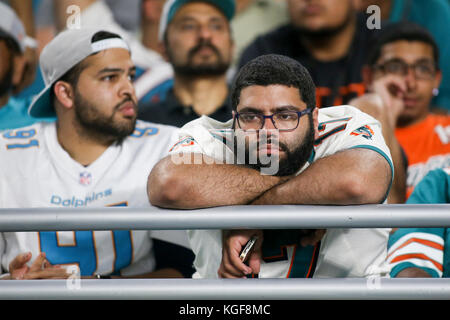 Miami Gardens, Florida, USA. 7th Nov, 2017. A Miami Dolphins fan is seen during the second half of the game between the Miami Dolphins and the Oakland Raiders at Hard Rock Stadium in Miami Gardens, Fla., on Sunday, November 5, 2017. Final score: Oakland Raiders, 27, Miami Dolphins, 24. Credit: Handout/The Palm Beach Post/ZUMA Wire/Alamy Live News Stock Photo