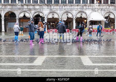 Venice, Veneto, Italy. 7th Nov, 2017. Acqua Alta high tide of 115cm from the lagoon causing temporary flooding in Piazza San Marco. Passarelle, or elevated walkways, are installed for pedestrian traffic. Group of tourists playing with the pigeons in the water as the tide recedes. Credit: Mary Clarke/Alamy Live News Stock Photo