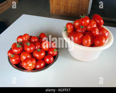 Two plastic bowls full with ripe red tomatoes on gray kitchen table. Stock Photo