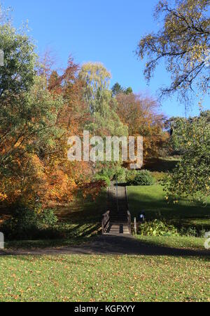 Macrosty Park Crieff in autumn Scotland November 2017 Stock Photo - Alamy