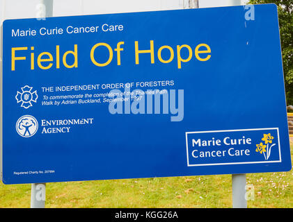 Sign to commemorate Adrian Buckland's walk along the entire Thames path to raise funds for Marie Curie Cancer Care, Greenwich, London, United Kingdom Stock Photo