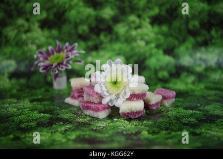 Christmas food photography picture of traditional old fashioned English coconut ice sweets with flowers on green pine tree forest background