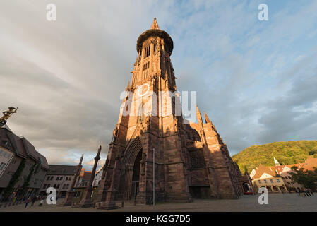 Freiburg Minster (cathedral of Freiburg im Breisgau, southwest Germany) Stock Photo
