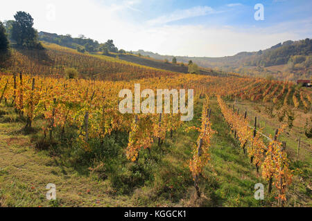 The landscape of the hills of the Oltrepo Pavese, you can see the hills where it is produced the wine of high quality Stock Photo