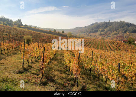 The landscape of the hills of the Oltrepo Pavese, you can see the hills where it is produced the wine of high quality Stock Photo