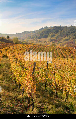 The landscape of the hills of the Oltrepo Pavese, you can see the hills where it is produced the wine of high quality Stock Photo